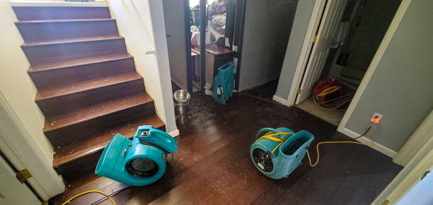 Best Fire Damage Restoration  in Red Lick, TX