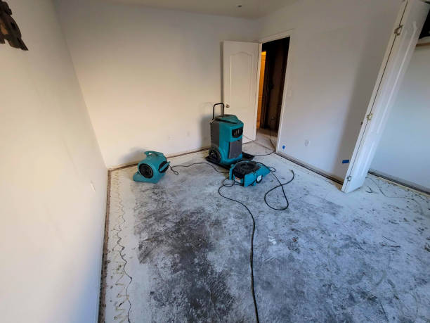 Best Water damage cleanup near me  in Red Lick, TX