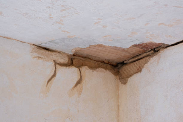 Best Flood damage cleanup  in Red Lick, TX