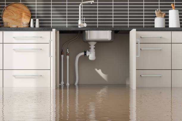  Red Lick, TX Water damage restoration Pros